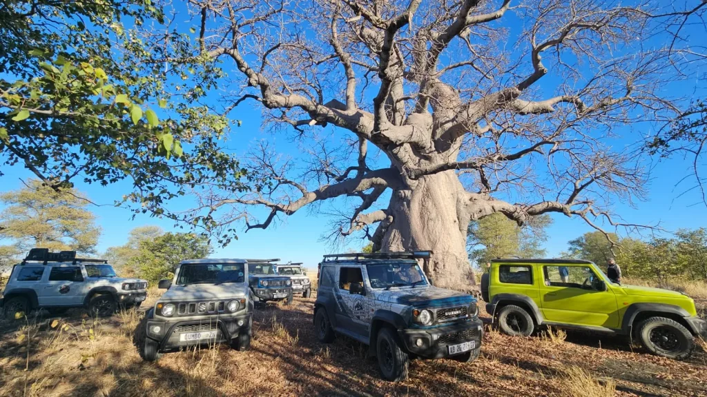 Big_in_Botswana_image02