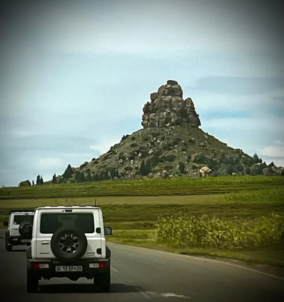 Namaqua_Wildflower_image29